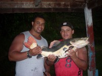 /album/galeria-de-fotos/clelton-adriano-pirarara-jpg/